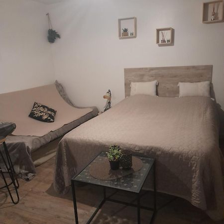 Studio Cosy Proche Centre Mpl/ Pk Gratuit مونبيلييه المظهر الخارجي الصورة