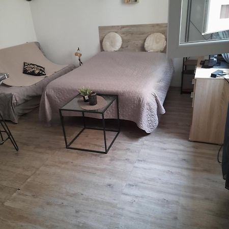 Studio Cosy Proche Centre Mpl/ Pk Gratuit مونبيلييه المظهر الخارجي الصورة