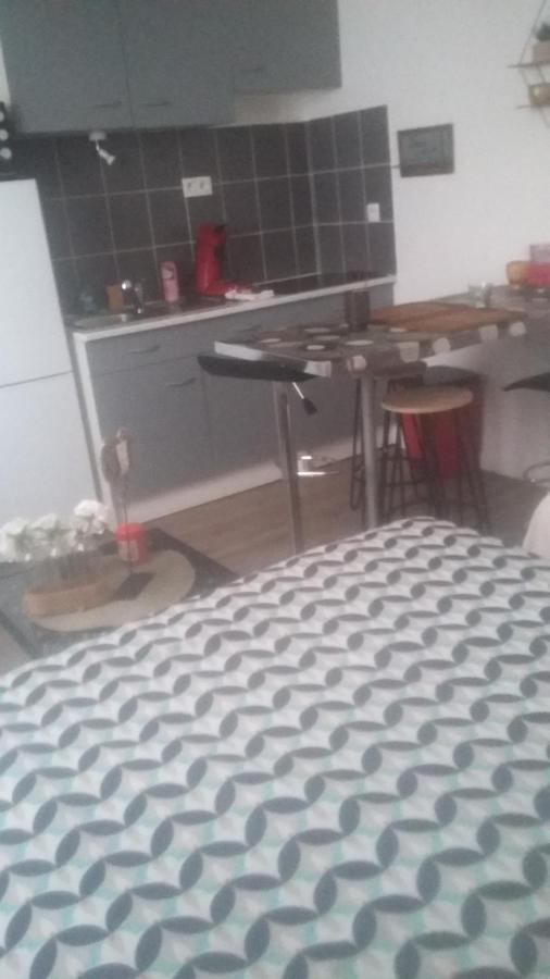 Studio Cosy Proche Centre Mpl/ Pk Gratuit مونبيلييه المظهر الخارجي الصورة