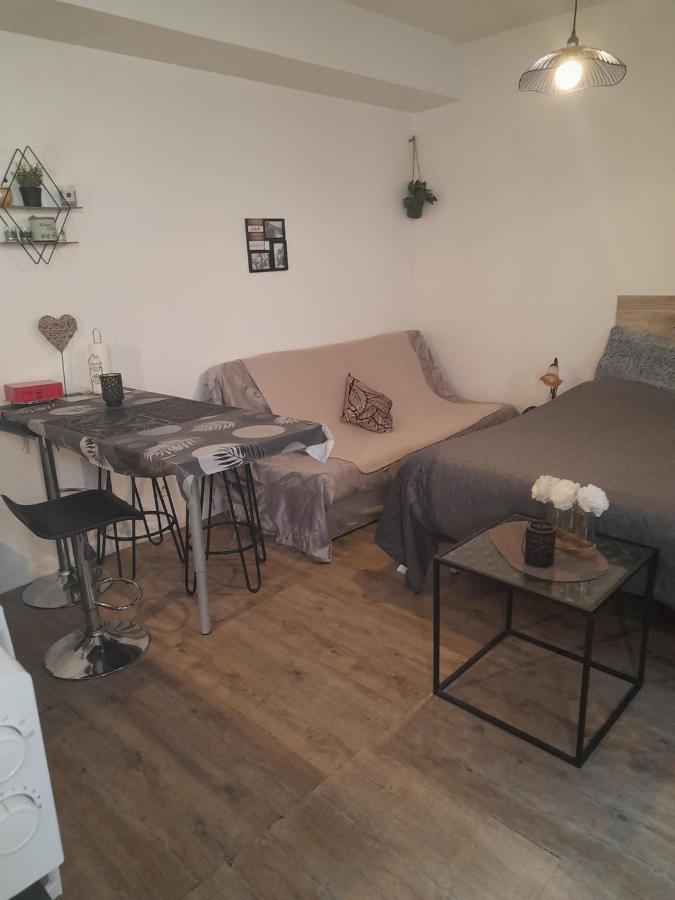 Studio Cosy Proche Centre Mpl/ Pk Gratuit مونبيلييه المظهر الخارجي الصورة